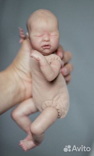 Миниреборн в продаже