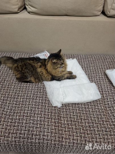 Шторы тюль бу