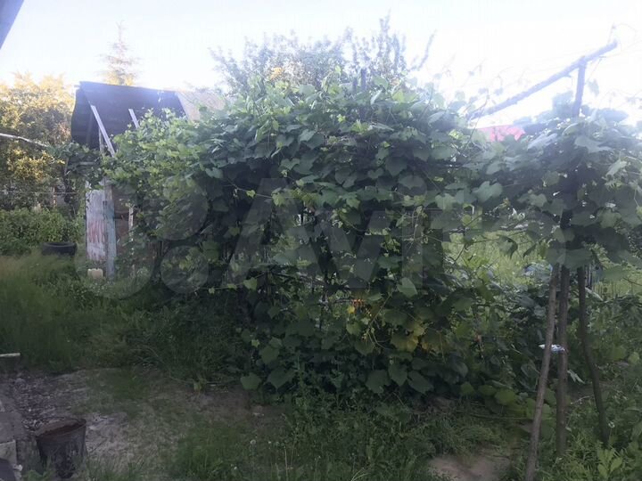 Дача 90 м² на участке 6 сот.