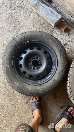 Белшина Artmotion 4/8.5 R14