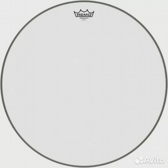 Remo emperor, Coated, 20