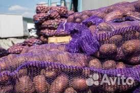 Картофель доставка на дом