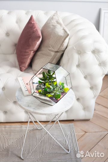 Флорариум с суккулентами