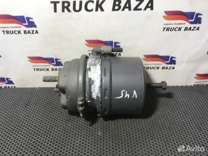 20522030 Энергоаккумулятор тормозной Volvo FH