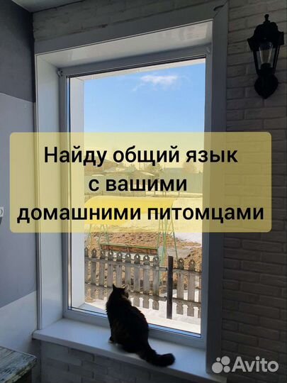 Ремонт пластиковых окон Ремонт балконов