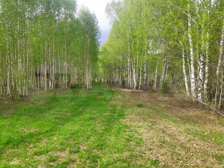 Участок 3 га (СНТ, ДНП)
