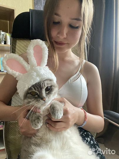 Продавец-консультант