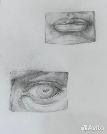 Репетитор по академическому рисунку