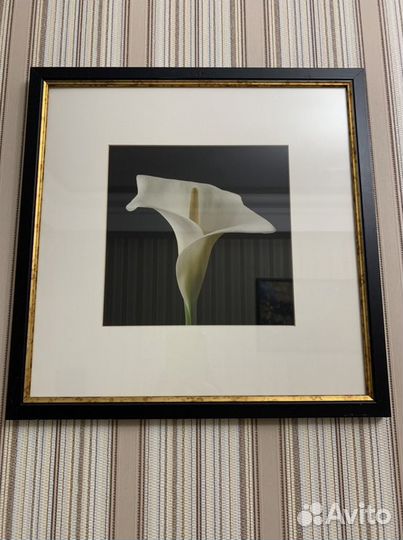 Картина интерьерная. Лилии размер 36x36