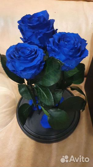 Три розы в колбе (Трио)