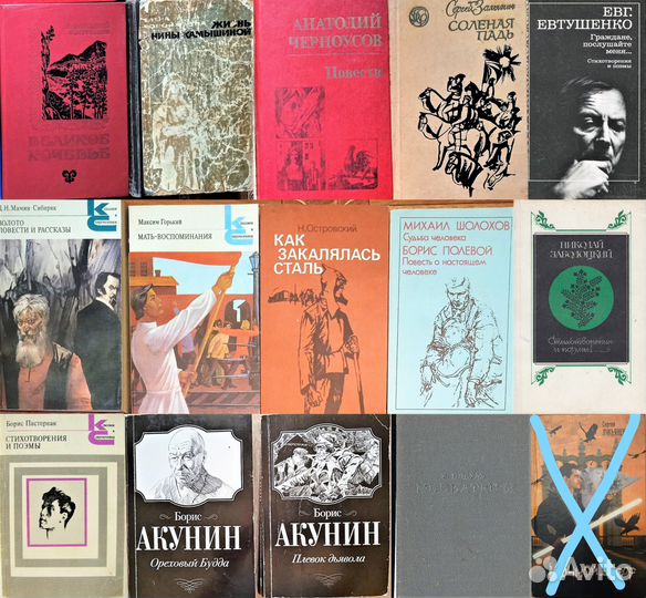 Художественная литература