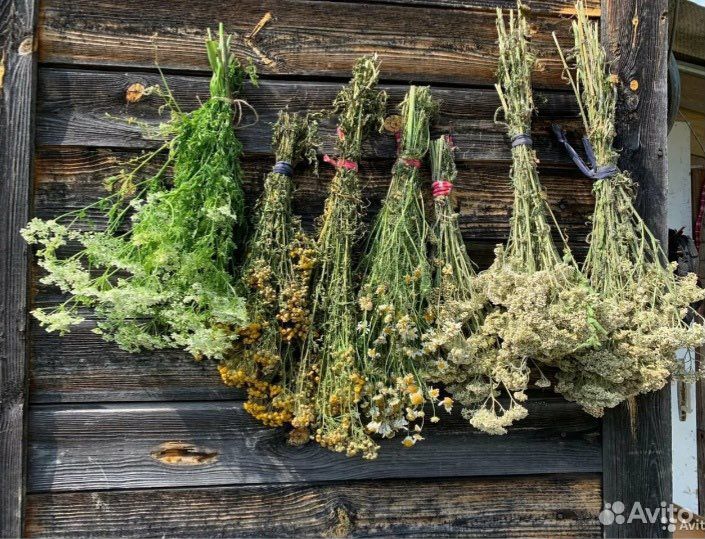 Сок Веселки