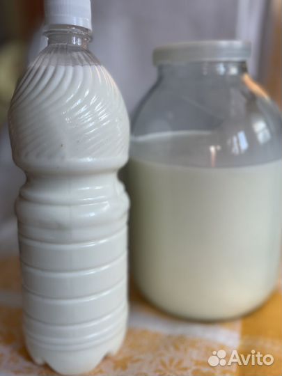 Козье молоко.Сыр твёрдый и творожныйтворогмасло