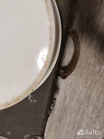 Утка медицинская старинная