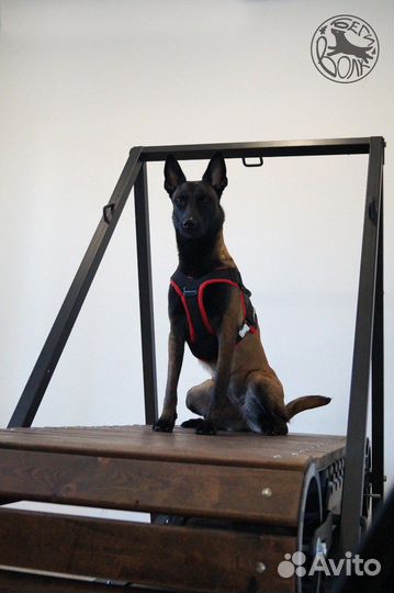 Беговая дорожка для собак механическая