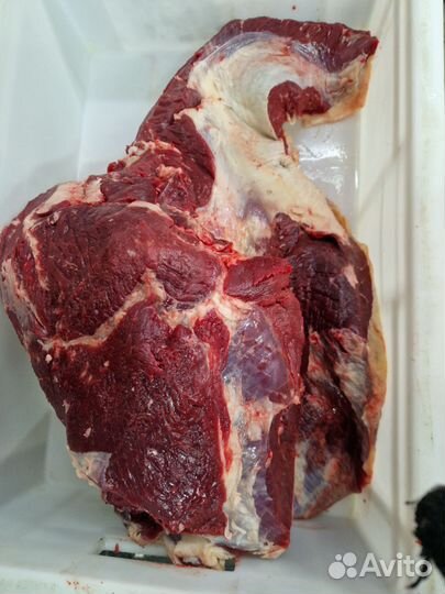 Тазобедренный отруб говядины