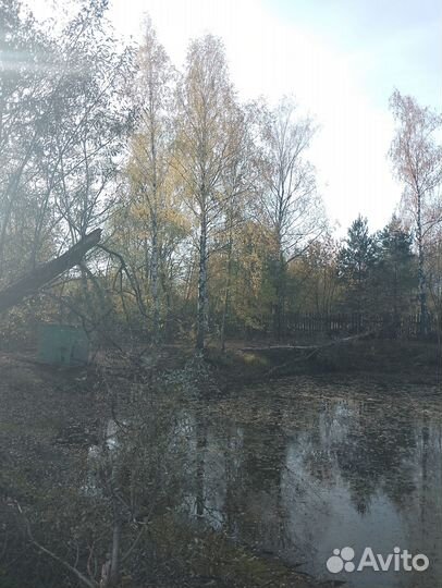 Отдам даром деревья