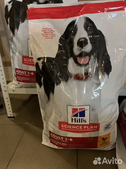 Сухой корм Хилс Hill's Science Plan с курицей