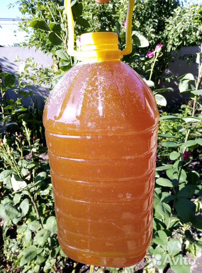 Настоящий мед с собственной пасеки и мед в сотах