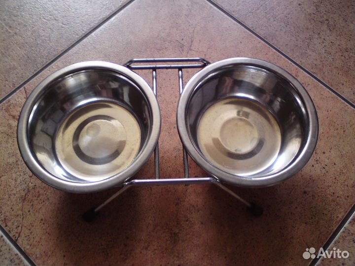 Ошейник и поводок для собак