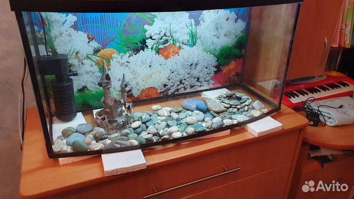 Аквариум террариум