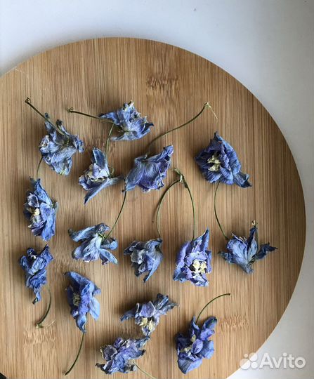 Сухоцветы для творчества