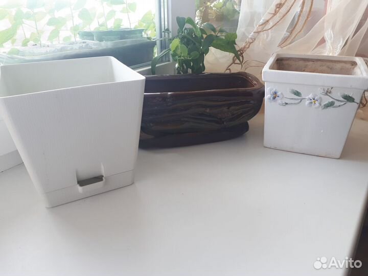 2 горшка керамических + 1 горш. пластиковый