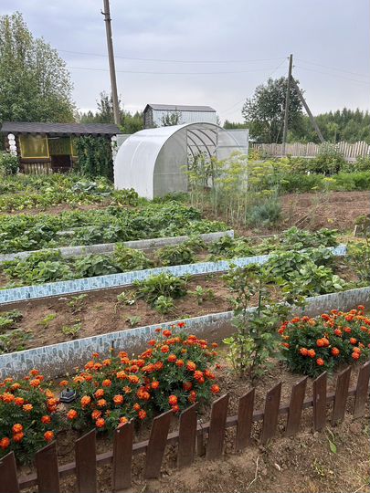 Дача 40 м² на участке 8 сот.