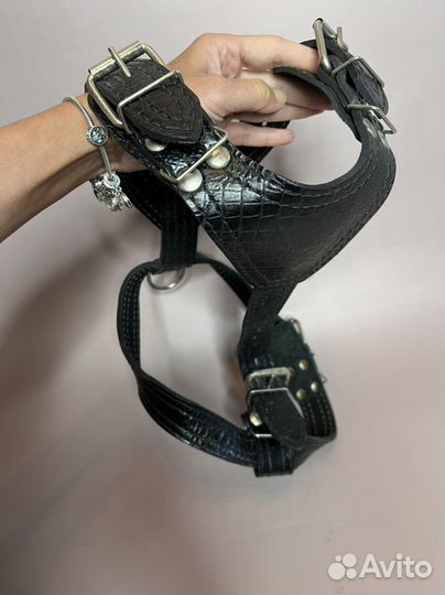 Шлейка для собаки, кожа lux, в илеале