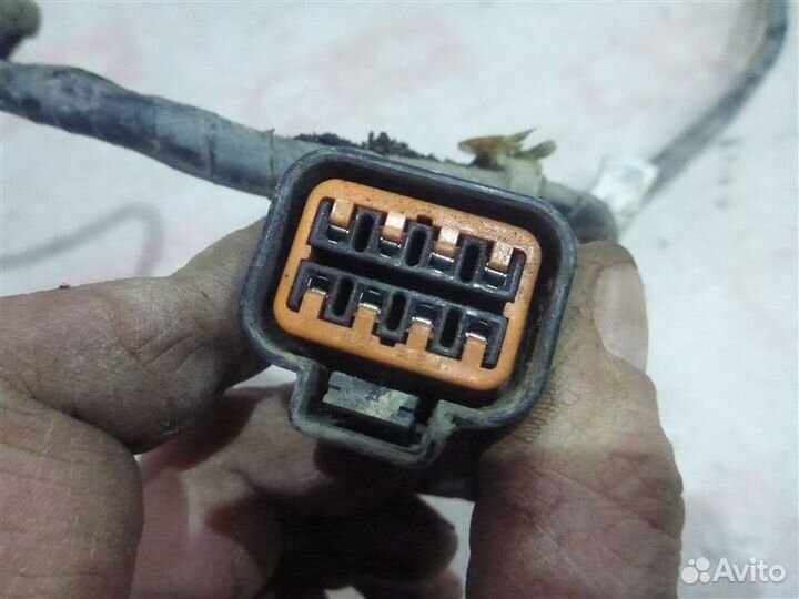 Проводка Mitsubishi L200 KB4T 4D56 2008