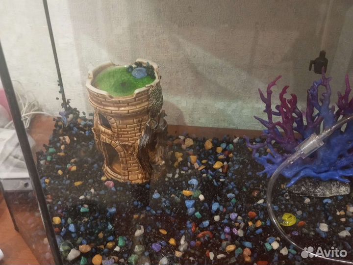 Аквариум
