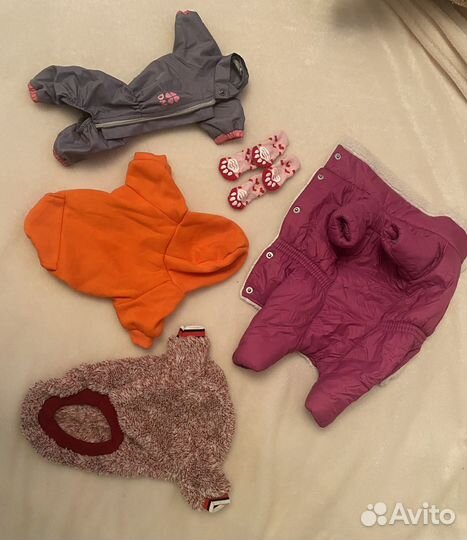 Одежда для собак