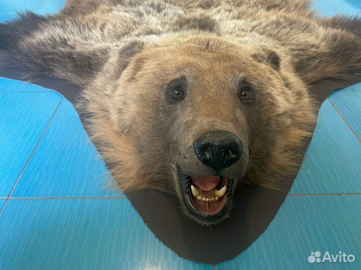 Шкура медведя имитация