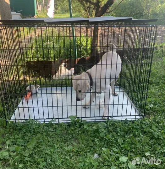 Клетка для животных