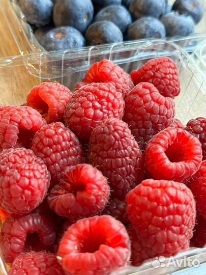 Малина свежая