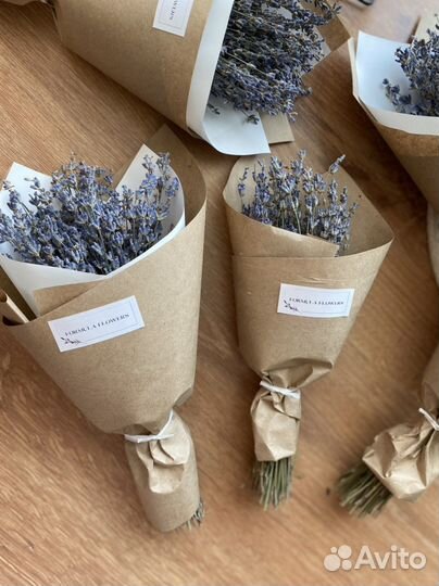 Лаванда сухоцвет