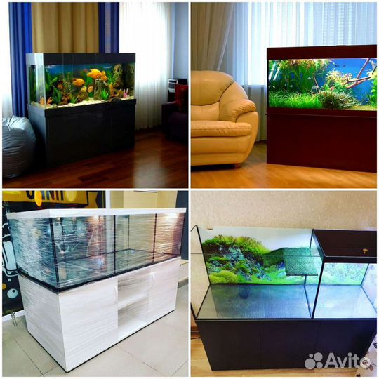 Аквариум Краснодар