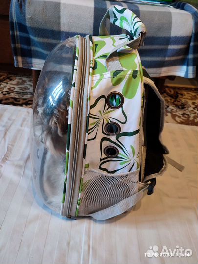 Переноска-рюкзак для маленьких кошек и собак