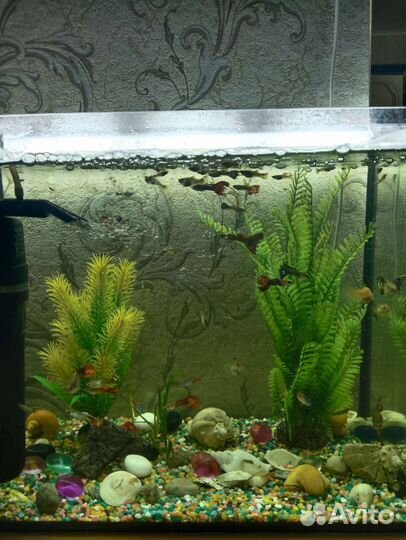 Украшение для аквариума