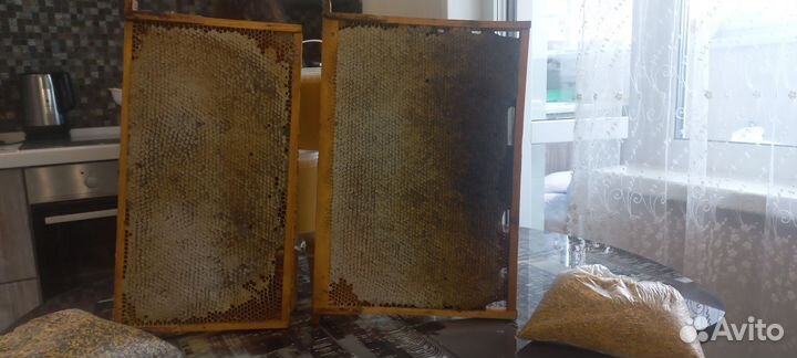 Мед разнотравье урожай 2023г