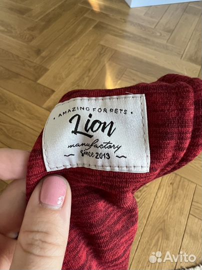 Костюм для маленькой собаки