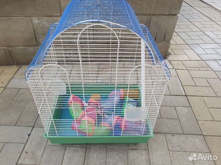 Клетка для животных