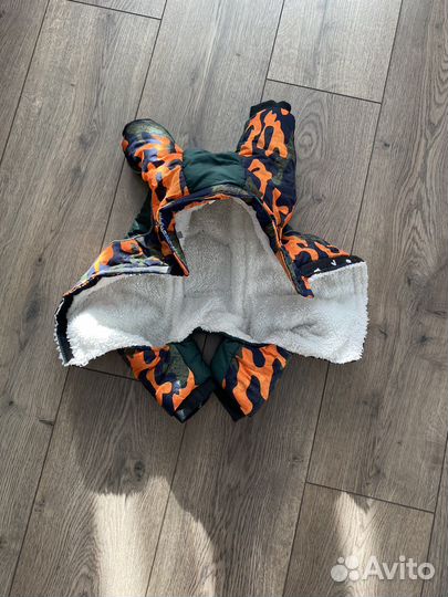 Одежда для собак