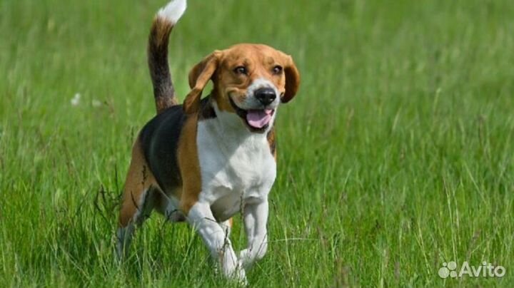 Камера видеонаблюдения и установка