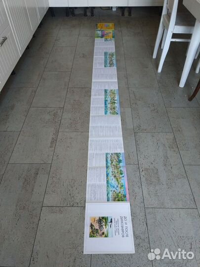 Лента времени 