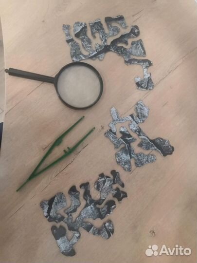 Большая Муравьиная ферма с муравьями