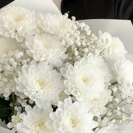 Букет из хризантем с гипсофилой Доставка