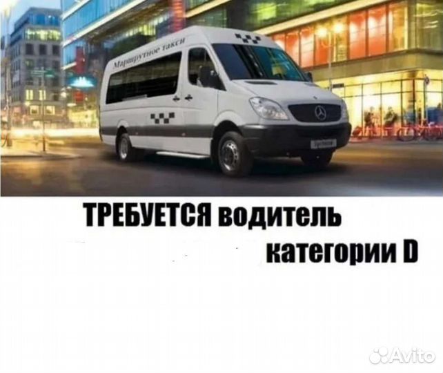 Требуется Водитель категории Д (D) Зеленоград