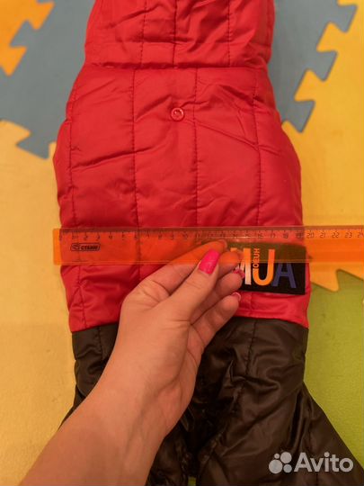 Зимний комбинезон для маленькой собаки