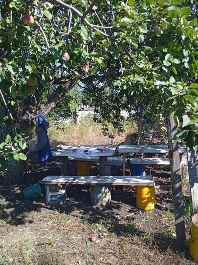 Участок 6 сот. (ИЖС)